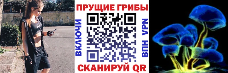 Псилоцибиновые грибы мухоморы  Кувшиново 